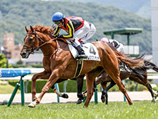 ラジオNIKKEI賞に出走するアレグロブリランテ(撮影：下野雄規)