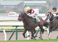　函館スプリントＳで２着したウイングレイテスト