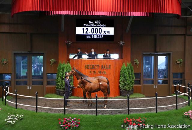 【セレクトセール2024】半姉はポエットリーのリアルスティール産駒牡馬は1億2000万円で落札