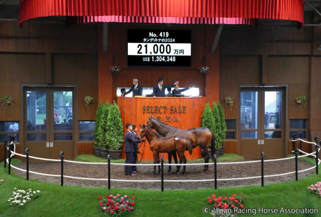 【セレクトセール2024】フライトライン初年度産駒の牡馬は「ショウナン」国本哲秀氏が2億1000万円で落札