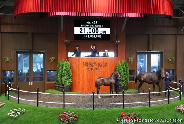 【セレクトセール2024】母は豪短距離G1・2勝、キズナ産駒の牡馬は2億1000万円で広崎利洋HDが落札