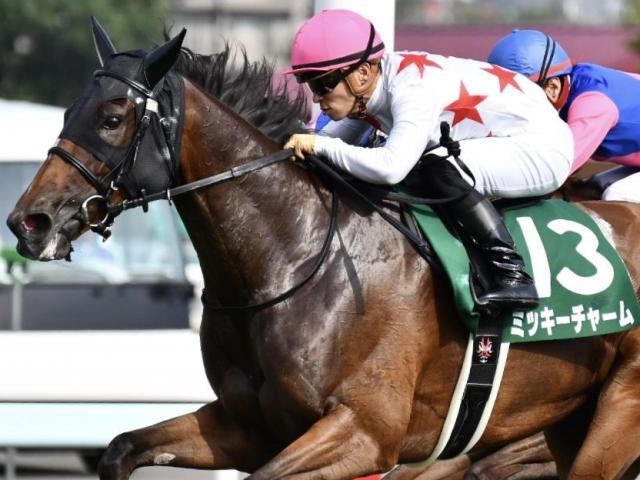 重賞2勝ミッキーチャームの初仔 ミッキースピネルが既走馬相手にデビューVなるか