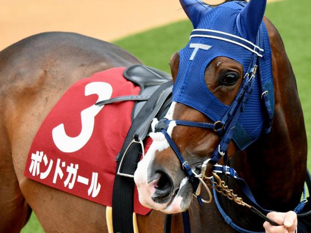 【当選品】札幌競馬場　クイーンステークス　レプリカゼッケン　ボンドガール　武豊 当選品】札幌競馬場 クイーンステークス レプリカゼッケン