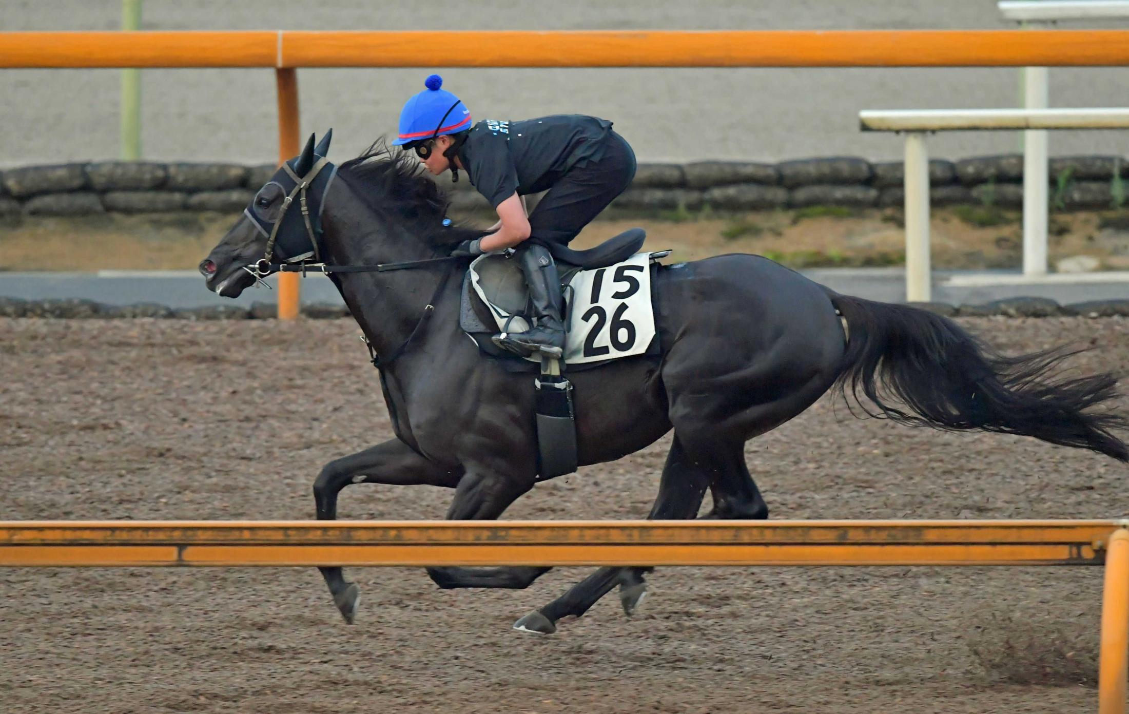 【中京記念】ニホンピロキーフ　好感触　コンビ９戦目の田口は仏遠征前に師匠へ置き土産Ｖ目指す