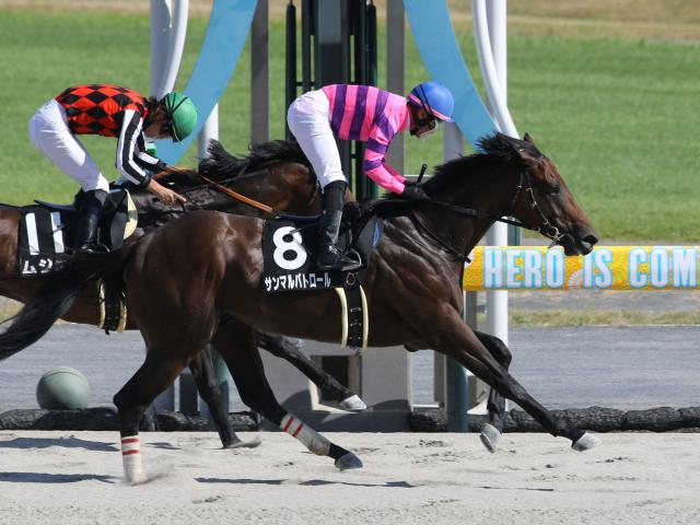 ミルコ・デムーロ騎手 サイン入り競馬新聞 - スポーツ選手