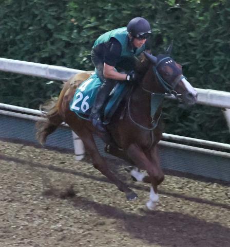 【中京新馬戦】セイルロケット　非凡な伸び披露、橋口師「完成度が高い」