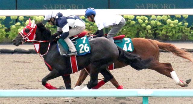 札幌2歳S】新馬戦でソダシ超えのレコードで勝利したキングスコールは動き上々 1週前でしっかり負荷 | 競馬ニュース - netkeiba