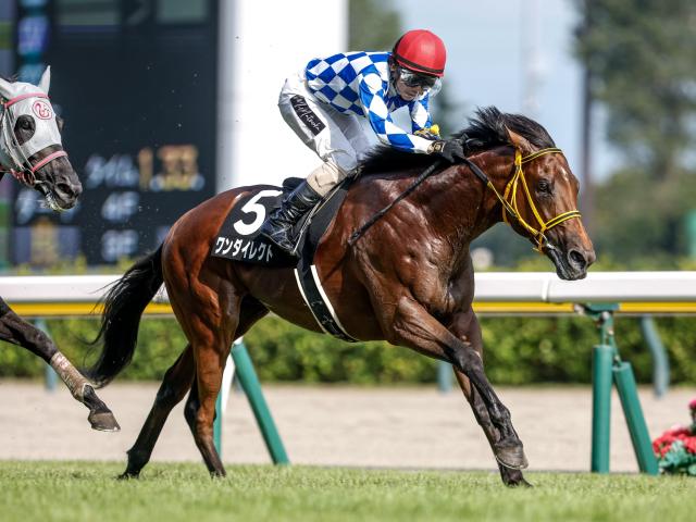 荻野極のニュース・最新情報 | 競馬まとめ - netkeiba.com