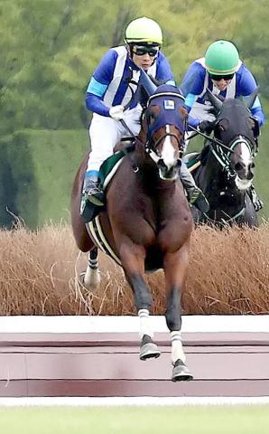 【小倉サマーJ】障害重賞初の5頭立てで、ロスコフが重賞初制覇　関東馬の勝利も初めて　