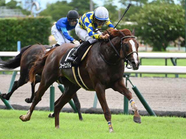 【有松特別レース後コメント】フォーチュンタイム岩田望来騎手ら