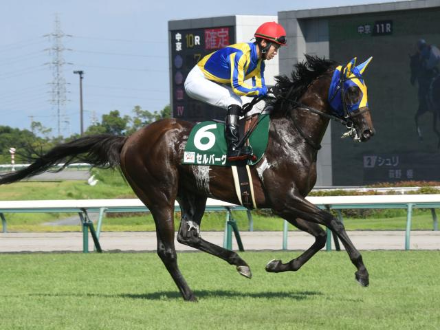 単勝71倍の伏兵イングランディーレと横山典騎手が一人旅 天皇賞(春)での7馬身差逃走劇から20年 | 競馬ニュース - netkeiba