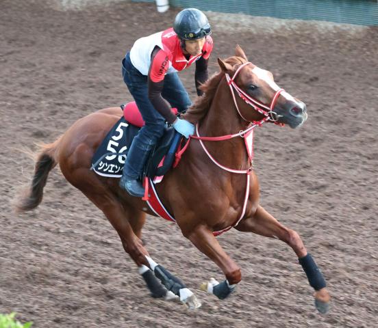 ニエル賞】パリ大賞に続きソシエがV 凱旋門賞オッズも1番人気でシンエンペラーの強力なライバルに | 競馬ニュース - netkeiba