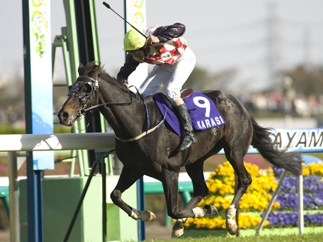 カラジが29歳で死す 中山GJを3連覇した豪州の名ジャンパー | 競馬ニュース - netkeiba