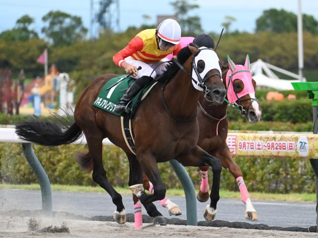 【シリウスS】売上は35億8189万9700円で昨年より微減