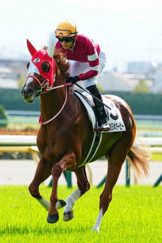 馬券　シンエンペラー　11種 馬券 シンエンペラー 11種 シンエンペラー (Shin Emperor
