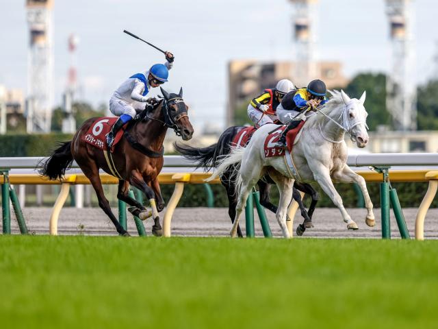 大井競馬】森泰斗 7Rで地方通算4400勝「あと100勝なるべく早く勝ちたい」 | 競馬ニュース - netkeiba