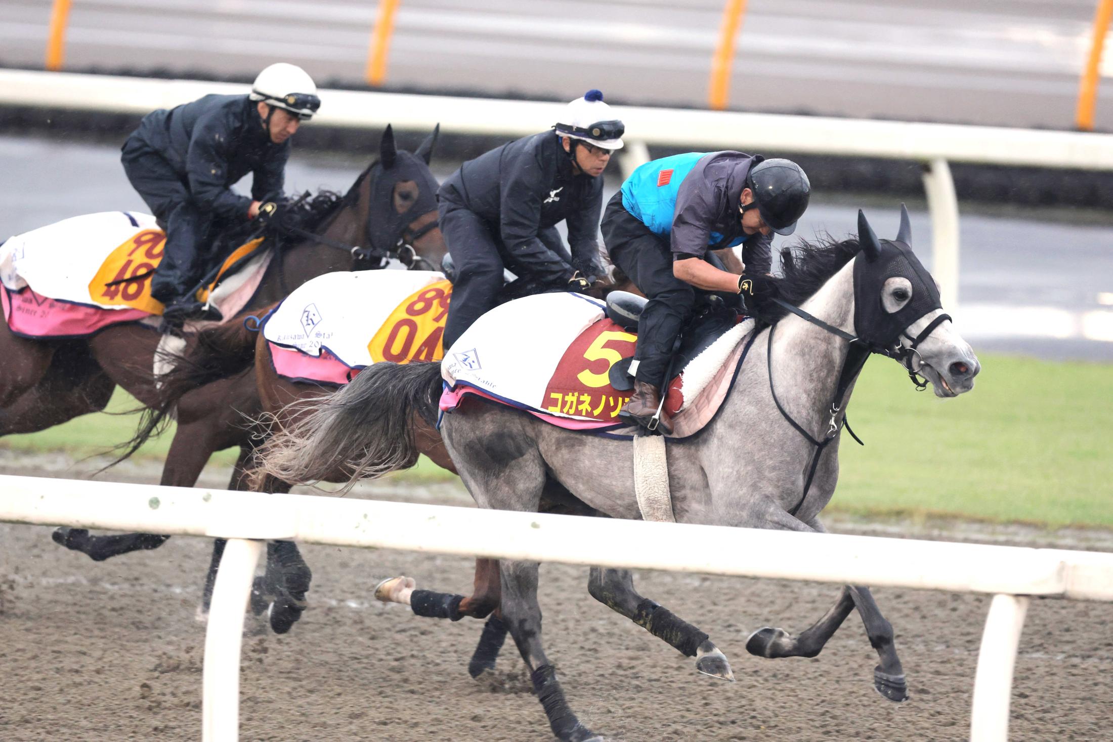 大井競馬】森泰斗 7Rで地方通算4400勝「あと100勝なるべく早く勝ちたい」 | 競馬ニュース - netkeiba