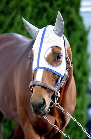 第80回日本ダービー 的中馬券 キズナ