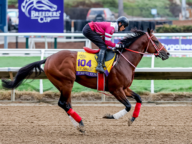 ϤĴեС Eclipse Sportswire / Breeders' Cup Photos(c)