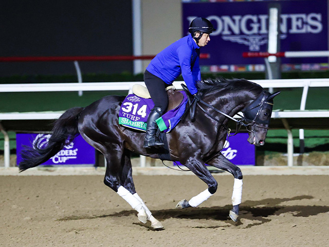 ϤĴ륷ե䡼 Eclipse Sportswire / Breeders' Cup Photos(c)