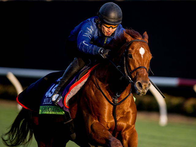 ϤĴ른 Eclipse Sportswire / Breeders' Cup Photos(c)