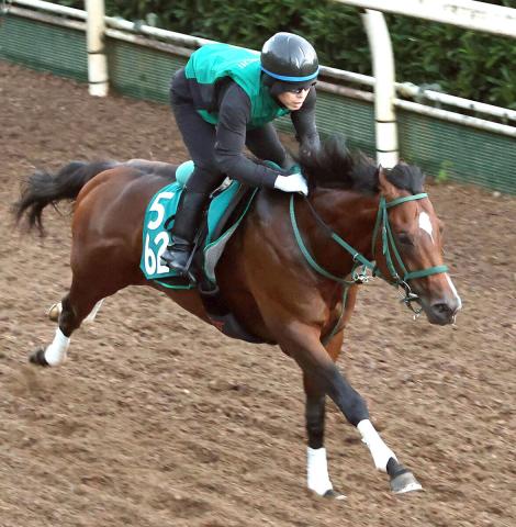 【京王杯2歳S】タワーオブロンドン産駒の重賞初V狙うパンジャタワー　橋口調教師「能力はかなり」