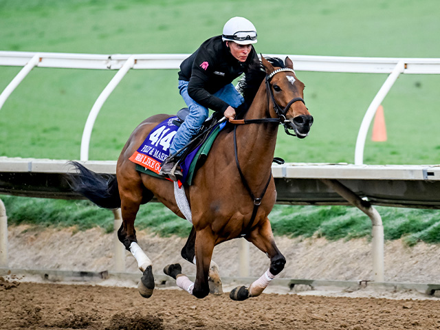 ϤĴ륦饤åǥ Eclipse Sportswire / Breeders' Cup Photos(c)