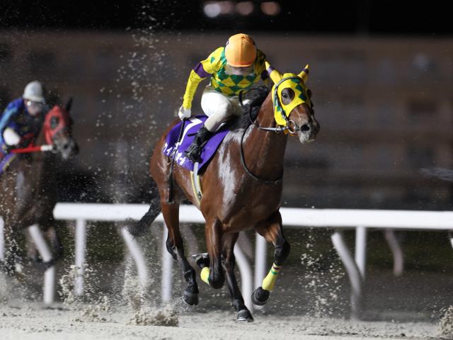 【船橋・平和賞結果】北海道のウィルオレオールが重賞初制覇 | 競馬ニュース - netkeiba