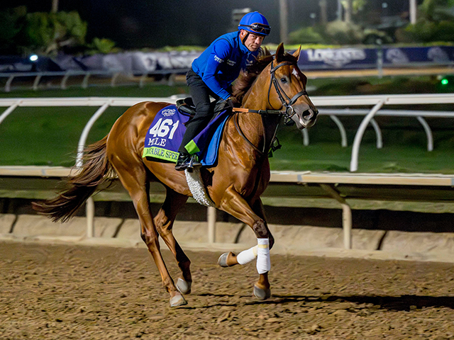 ĴΡ֥륹ԡ Eclipse Sportswire / Breeders Cup Photos(c)