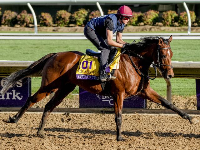 ƥ֥ȥ Eclipse Sportswire / Breeders Cup Photos(c)