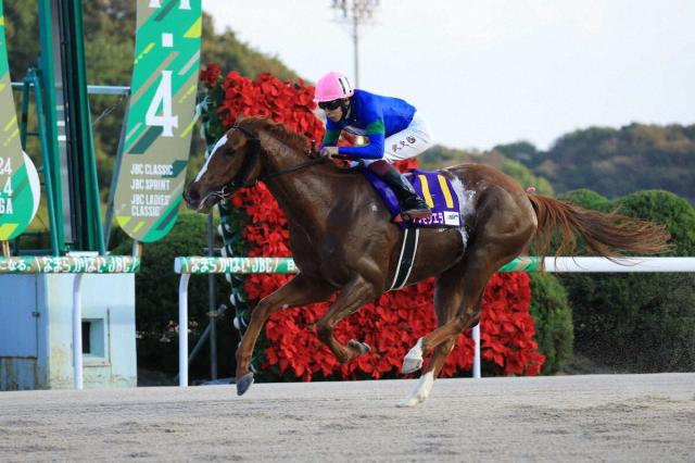 【JBCレディスクラシック】アンモシエラV!!　4→1→3番人気の決着で3連単9870円