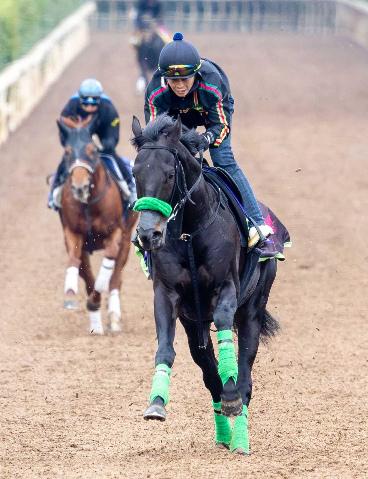 【ジャパンＣ】ジャスティンパレス　上昇一途　終始楽な手応え　杉山晴師「集中力高まってきた」