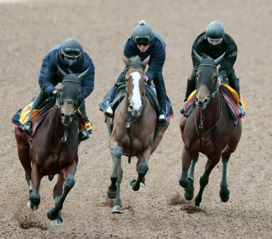 【ジャパンC】2冠牝馬が“木村厩舎流”の仕上げで万全　ルメール自信「アーモンドアイの時も古馬と初戦で勝った」