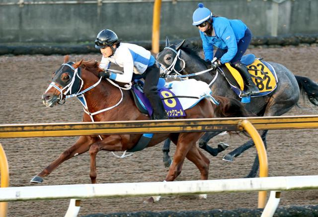 【チャンピオンズC】セラフィックコールは追走先着で好気配　寺島調教師「メンコを取って」効果出た