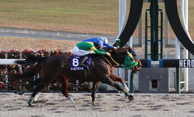 チャンピオンズC】坂井瑠「勝ってんのかな？」レモンポップ有終V…ジョッキーカメラ映像公開 | 競馬ニュースなら競馬のおはなし