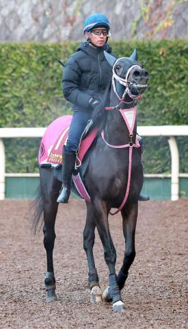 【阪神JF】強運の抽選突破で参戦の素質馬が2番人気　デットーリ騎手が騎乗の米国馬は4番人気　前日オッズ
