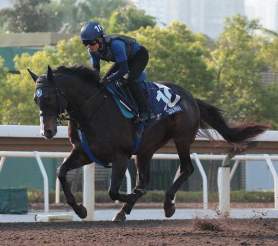 【香港マイル】ソウルラッシュ　ステイゴールドの“再現”なるか