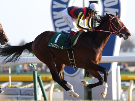 ディープインパクト 日本ダービー 日本優駿 新旧 10枚ずつ ディープインパクト 日本ダービー 日本優駿 新旧 10枚ずつ