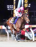 【地方競馬】ミリアッドラヴが強力牡馬を撃破してJpn1初制覇！ 競馬ニュース netkeiba