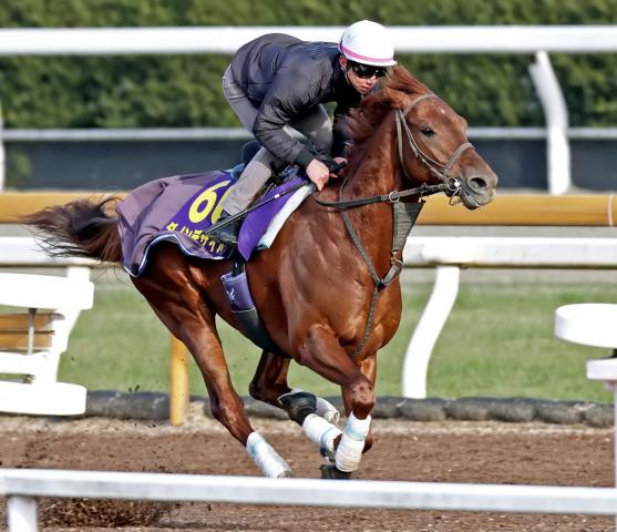 有馬記念】オルフェーヴル以来13年ぶり快挙へダービー馬が名手