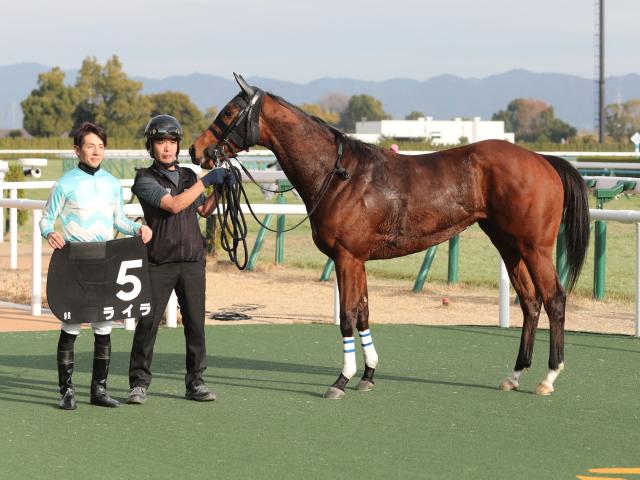 ξޥ졼女ȡۥ饤鹬