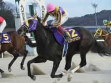 ハクアイアシストが重賞初制覇(提供：佐賀県競馬組合)