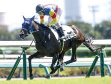 重賞初制覇を狙うレイユール(撮影：下野雄規)