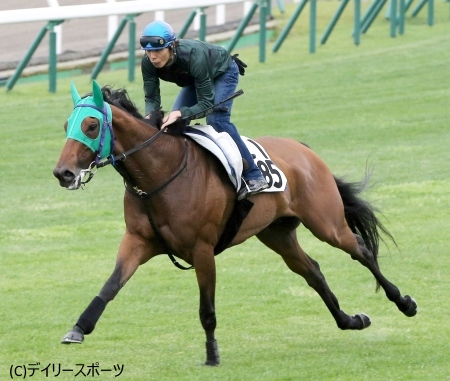 アンバルブライベンは函館芝で調整、田中健「悪くないですね」/函館スプリントS