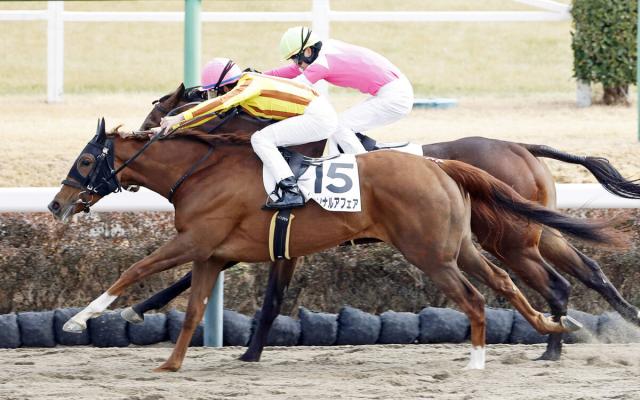 【中山4R・3歳新馬】半兄が東京大賞典Vローマンレジェンドのパーソナルアフェアが1番人気に応える