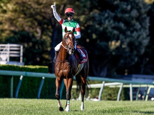 【AJCC予想】上位＆中位人気の組み合わせに妙味あり？ 過去データで探るGII・AJCC | 競馬ニュース - netkeiba