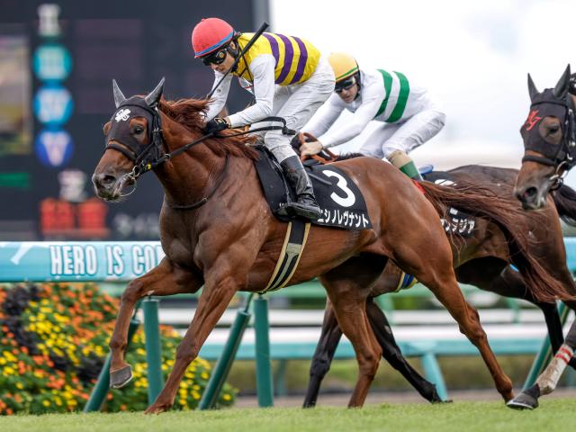 4.5億円キャリーオーバー中 明日のWIN5対象レース注目馬は？