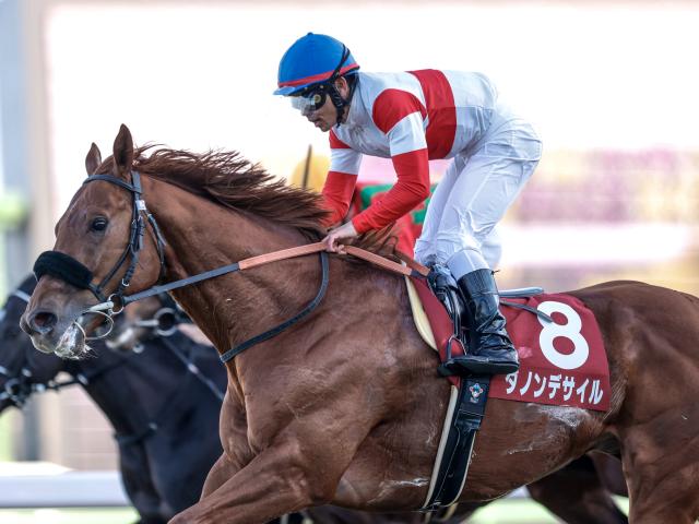 AJCCレース後コメント】ダノンデサイル戸崎圭太騎手ら | 競馬