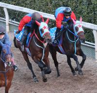 坂路にて併せ馬で追い切るタガノビューティー（左）（撮影・亀井直樹）