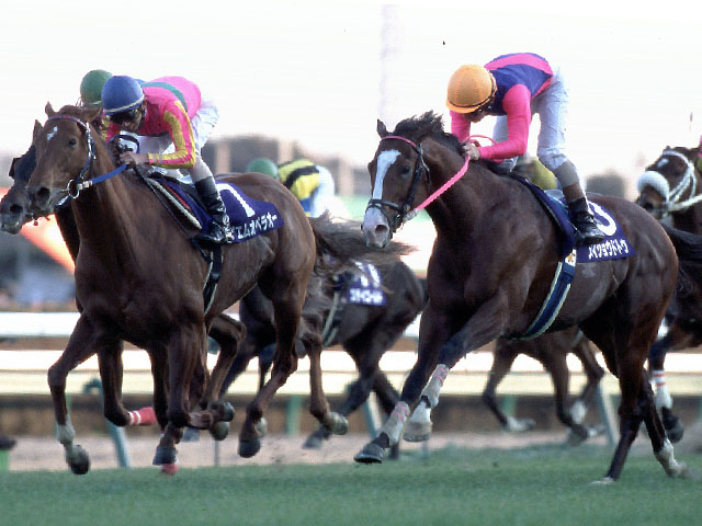 年内全勝、絶体絶命！ それでも王者は自ら道を拓く | 競馬